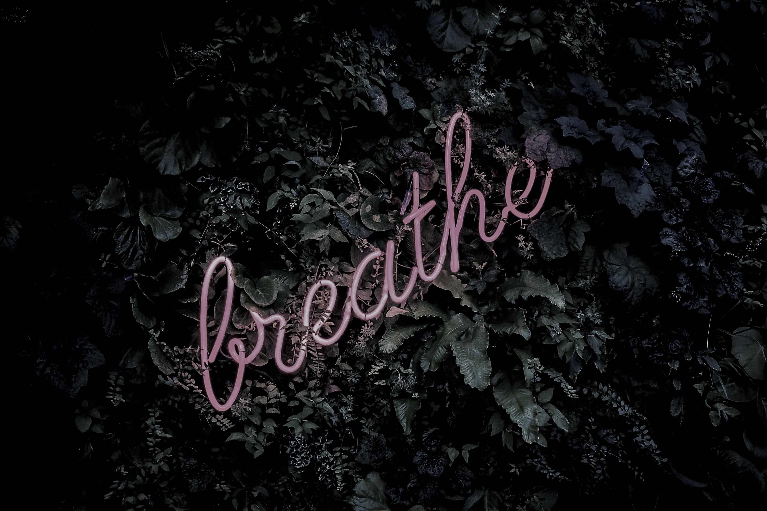 Client communication