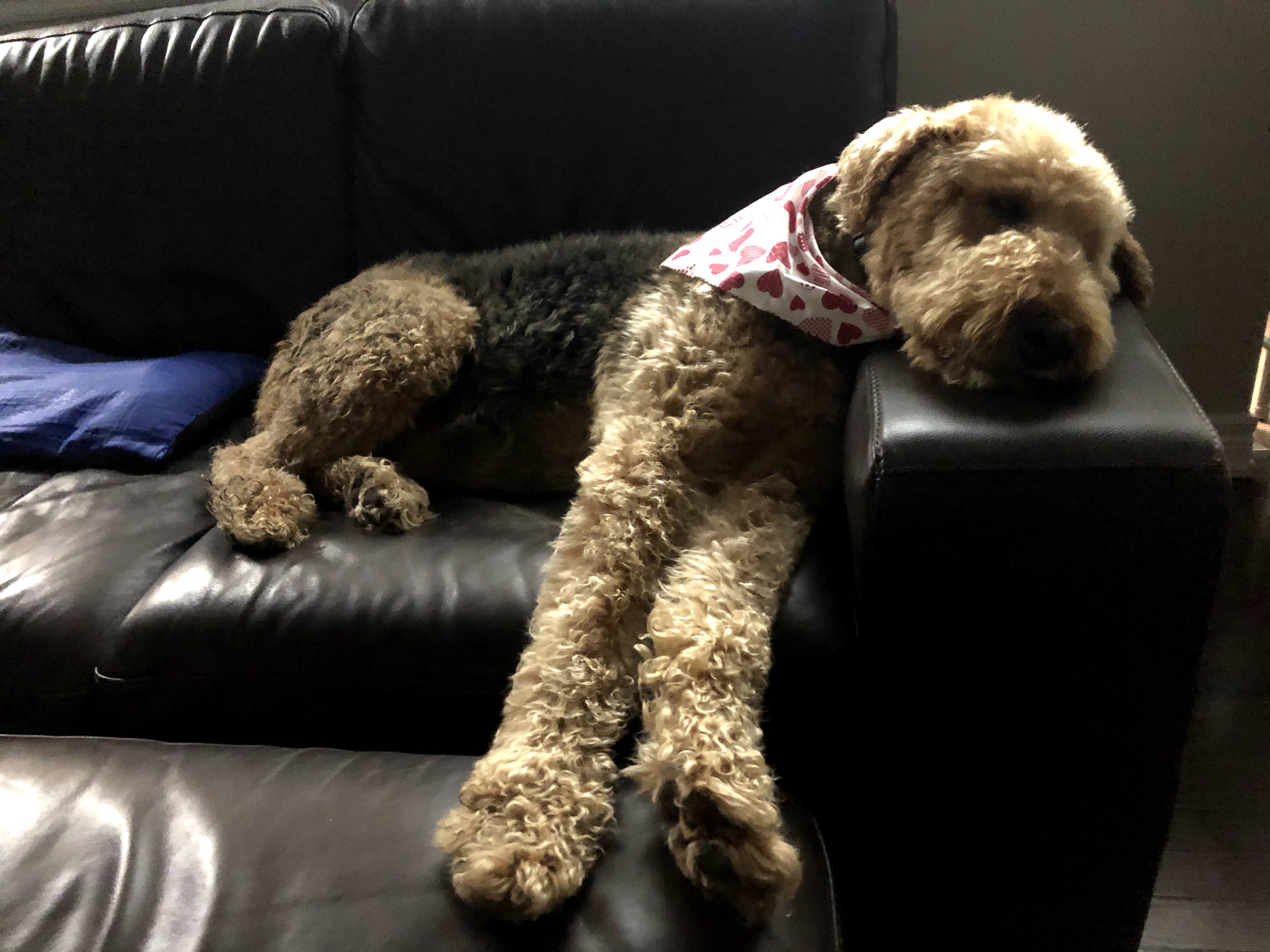 Process standardization